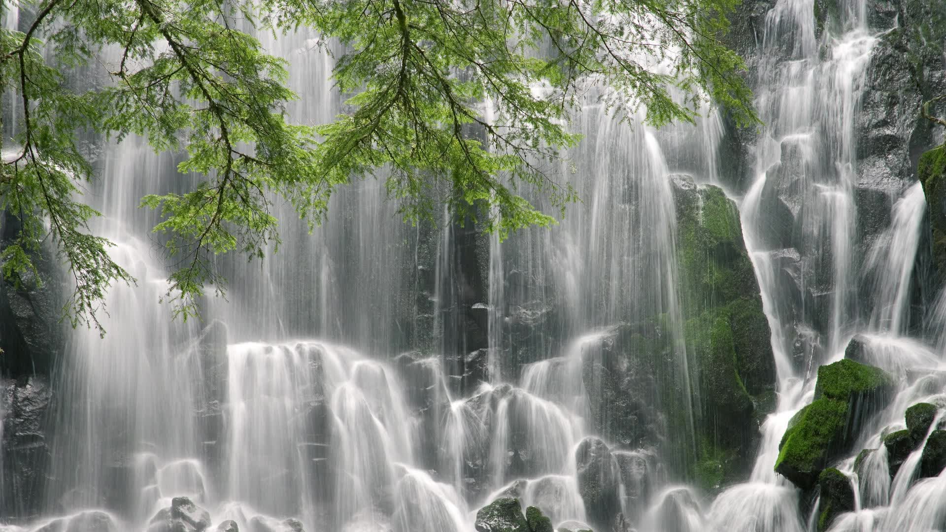 世界拳击锦标赛赛季后裁判复盘与能力提升年度总结发布,世界拳击锦标赛冠军